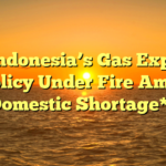 **Indonesia’s Gas Export Policy Under Fire Amid Domestic Shortage**