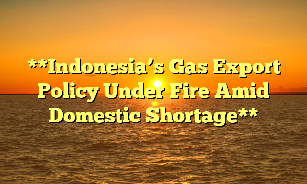 **Indonesia’s Gas Export Policy Under Fire Amid Domestic Shortage**