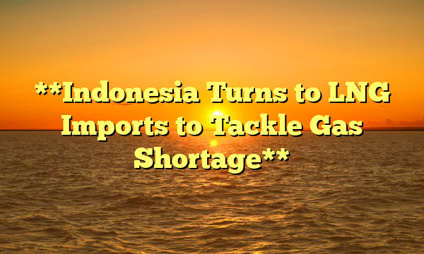 **Indonesia Turns to LNG Imports to Tackle Gas Shortage**